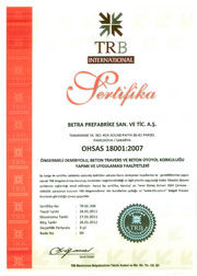ISO18001-2007(iSG)_180.jpg