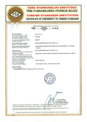 TSE1000