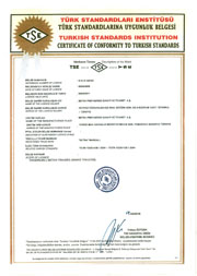 TSE2000