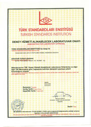 TSE3000